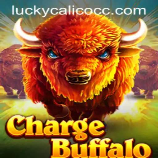 ChargeBuffalo: A New Adventure with LuckyCalico